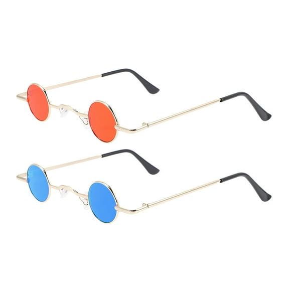 WORGEOUS 2pcs Vintage Round Steampunk Sunglasses for Men and Women Mini Glasses with Metal Frame Suitable for Travel Parties and Everyday Use