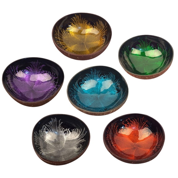 SHOWERORO Coconut Shell Bowl Blue 2Pcs 5.9X5.9X2.4In