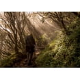 thumbnail image 2 of Wrobel, Karsten 18x14 White Modern Wood Framed Museum Art Print Titled - Through The Enchanted Forest, 2 of 4
