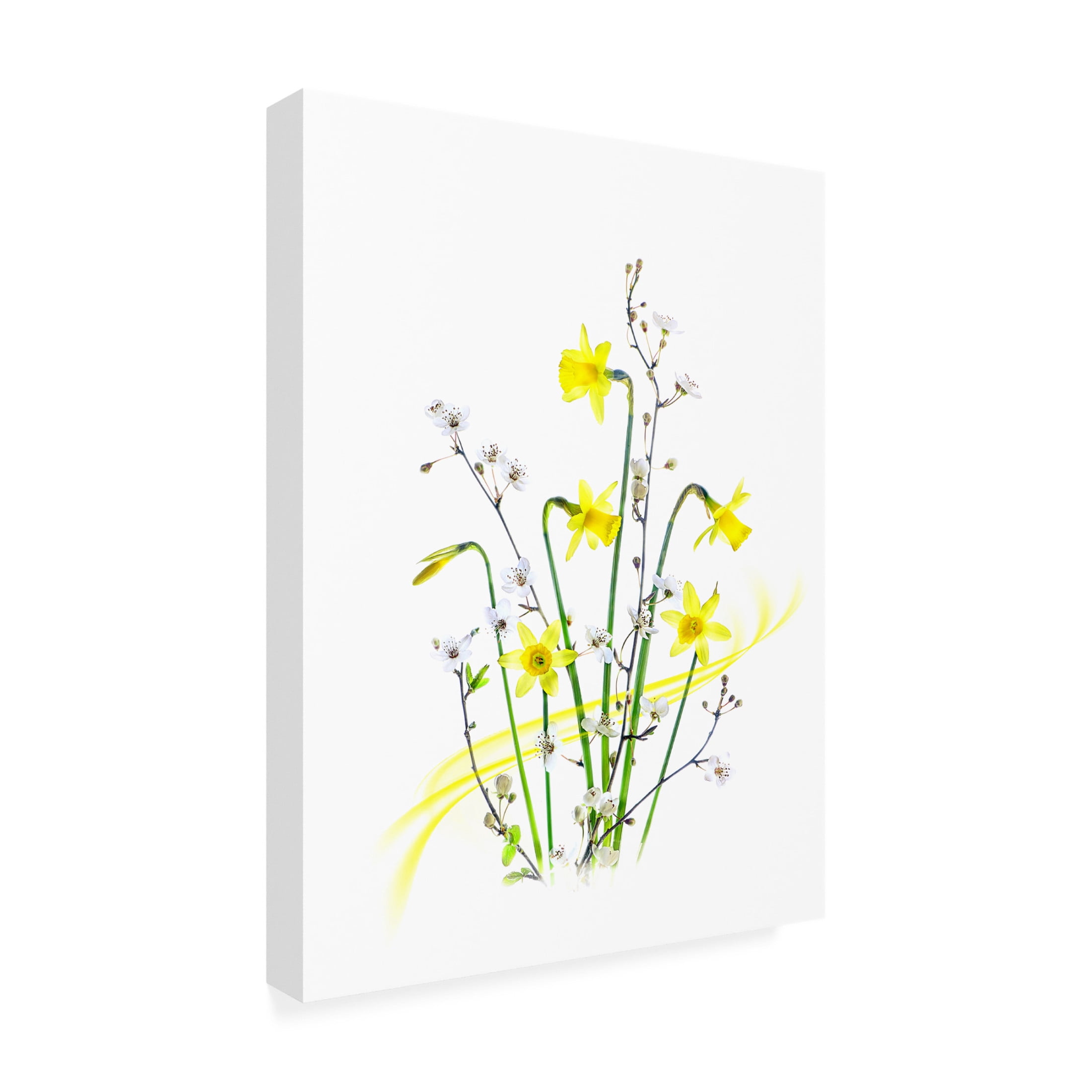 Canvas Wall Art - Jacky Parker 'Simply Spring' Wall Art for Living Room, Bedroom, or Office D?cor by Trademark Fine Art - 24 x 32 Inches