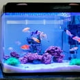 thumbnail image 1 of RENACLIPY Fish Tank Accessories 1Pack 37Cm Long Transparent Acrylic Feeder Tube For Easy Clean Up, 1 of 8
