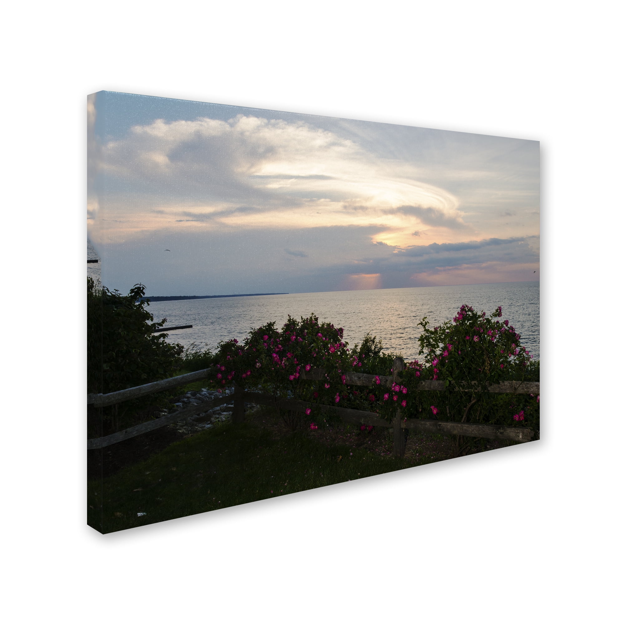 Trademark Fine Art "Roses in Bloom Along the Lake" Canvas Art by Kurt Shaffer