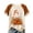 Beige-#005, variant on Halloween Shirts for Women Raglan Sleeve Tops Funny Ghost Pumpkin Crewneck Cute Clothes Fall Tee Fashion Gift,Purple M