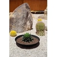thumbnail image 2 of YounGG Mason Series Lane Bowl Planter| for Indoor or Outdoor Tabletops/Gardens |Made from Plastic-Stone Composite with Drainage Holes|Modern Décor for Flowers, Succulents, Small Plants, 2 of 8