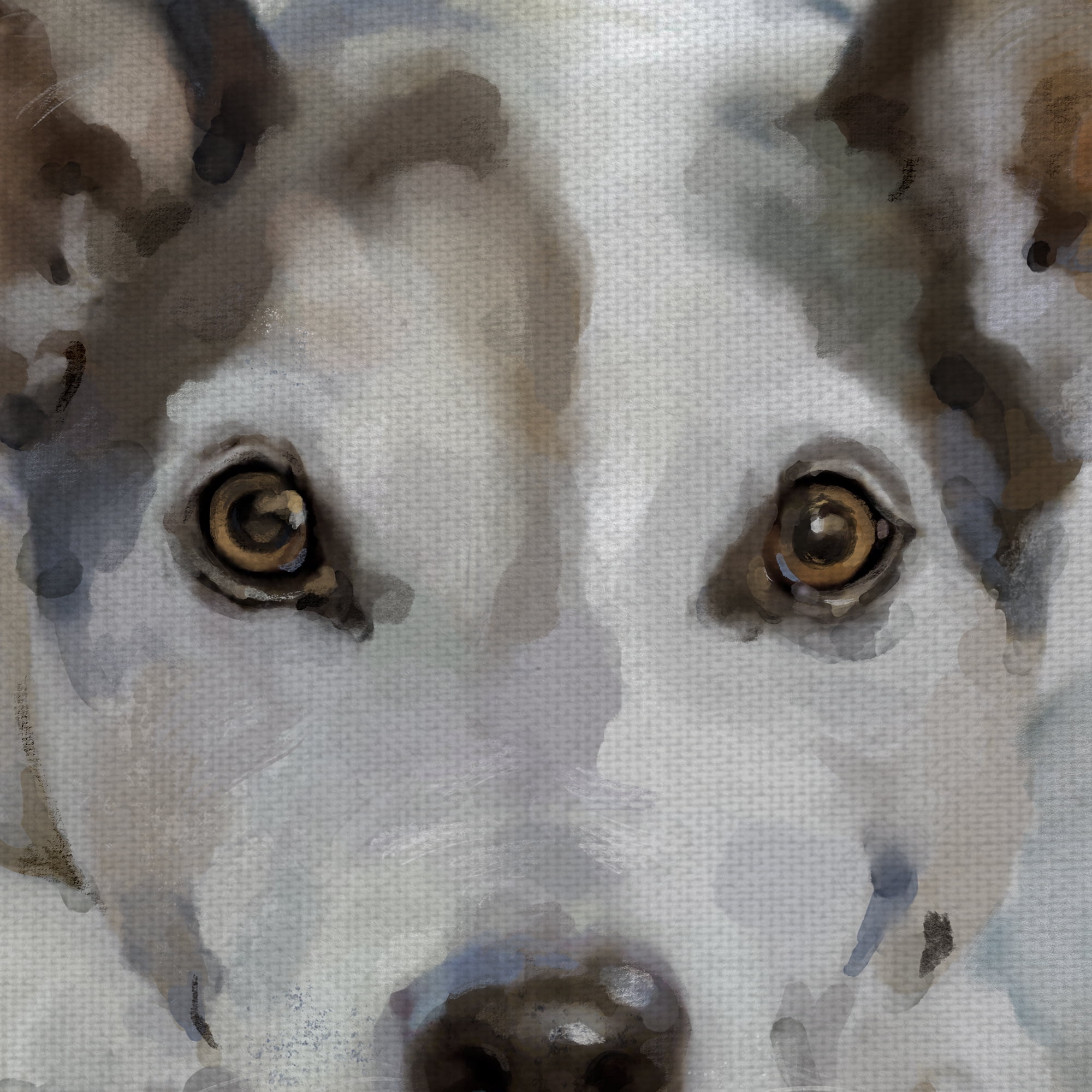 Masterpiece Art Gallery Gallery Hound Dogs I- IV by Studio Arts Canvas Art Print Set of 4 (16" x 20")