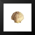 thumbnail image 2 of Reed, Tara 12x12 Black Modern Framed Museum Art Print Titled - Oceanum Shells white V-Scallop, 2 of 5