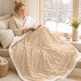 thumbnail image 6 of Cozy Double Layer Throw Blanket for Warmth Comfort Living Room Bedroom Machine Washable Soft Lightweight Couch Blanket All Season, 6 of 8