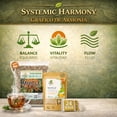 thumbnail image 2 of Muicle (Mexican Honeysuckle) Herbal Tea Combo Value Pack - 4 oz Loose Leaf + 24 Tea Bags - Authentic 100% Natural Mexican Infusion - Caffeine-Free, Vegan & Non-GMO - Traditional Premium Balance - BE, 2 of 9