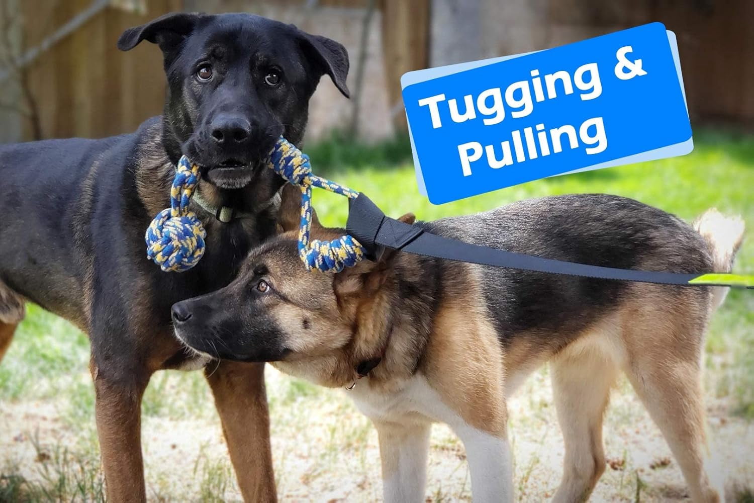 Outdoor Bungee Tug Toy，Dog Toy Hanging from Tree for Small to Large Dogs, Interactive Exercise Play Cord & Tether with Chew Rope Toy (Black)