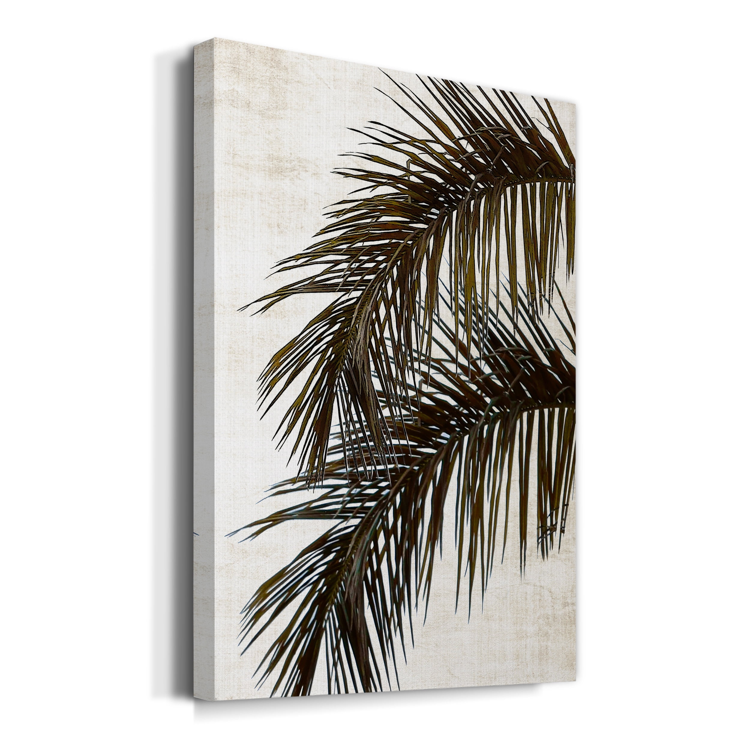 Palm II Premium Gallery Wrapped Canvas - Ready to Hang - 32 x 48