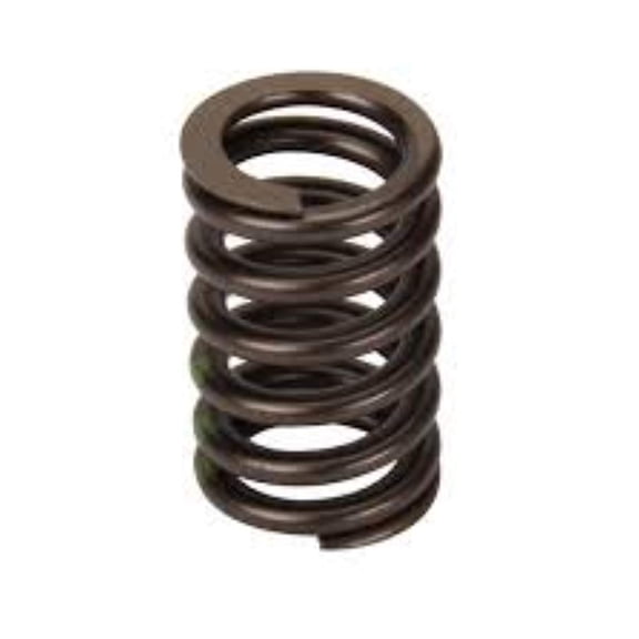 General Motors 19154761 Spring