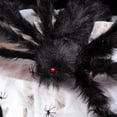 thumbnail image 4 of 150 Black Spider + 12 Círculos 5 Metros Black Web Adepaton WMZL-2148, 4 of 5