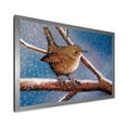 thumbnail image 2 of Designart 'Wren Bird On Branch In Winter' Farmhouse Framed Art Print, 2 of 4