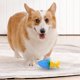 thumbnail image 5 of Juguete Interactivo para Masticar con Sonido para Perros, Alivio de La Dentición Congelable para Cachorros y Perros, Hueso Masticable Duradero para Limpieza de Molares, Juguete Dental para Mascotas d, 5 of 5