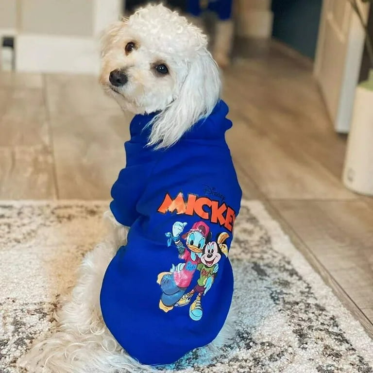 Disney dog clothing line 2025
