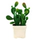 thumbnail image 1 of Bonsái de cactus artificiales, plantas tropicales artificiales, decoraciones creativas, 1 of 5