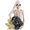 Holding a rose, variant on Mini Halloween Skeleton, Ute Statue Skeleton Halloween Decoration Collectible Souvenirs, Suitable for Halloween Party Decoration for Home Office Desktop (1PCS Holding a rose)