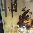 thumbnail image 3 of BeesClover 4Pcs Astronaut Decor, Fish Tank Decor, Spaceman Small Fish Aquarium Decorations, Handmade Coloring Cute Mini Space Figure Ornament For Home, Photograph, 3 of 8