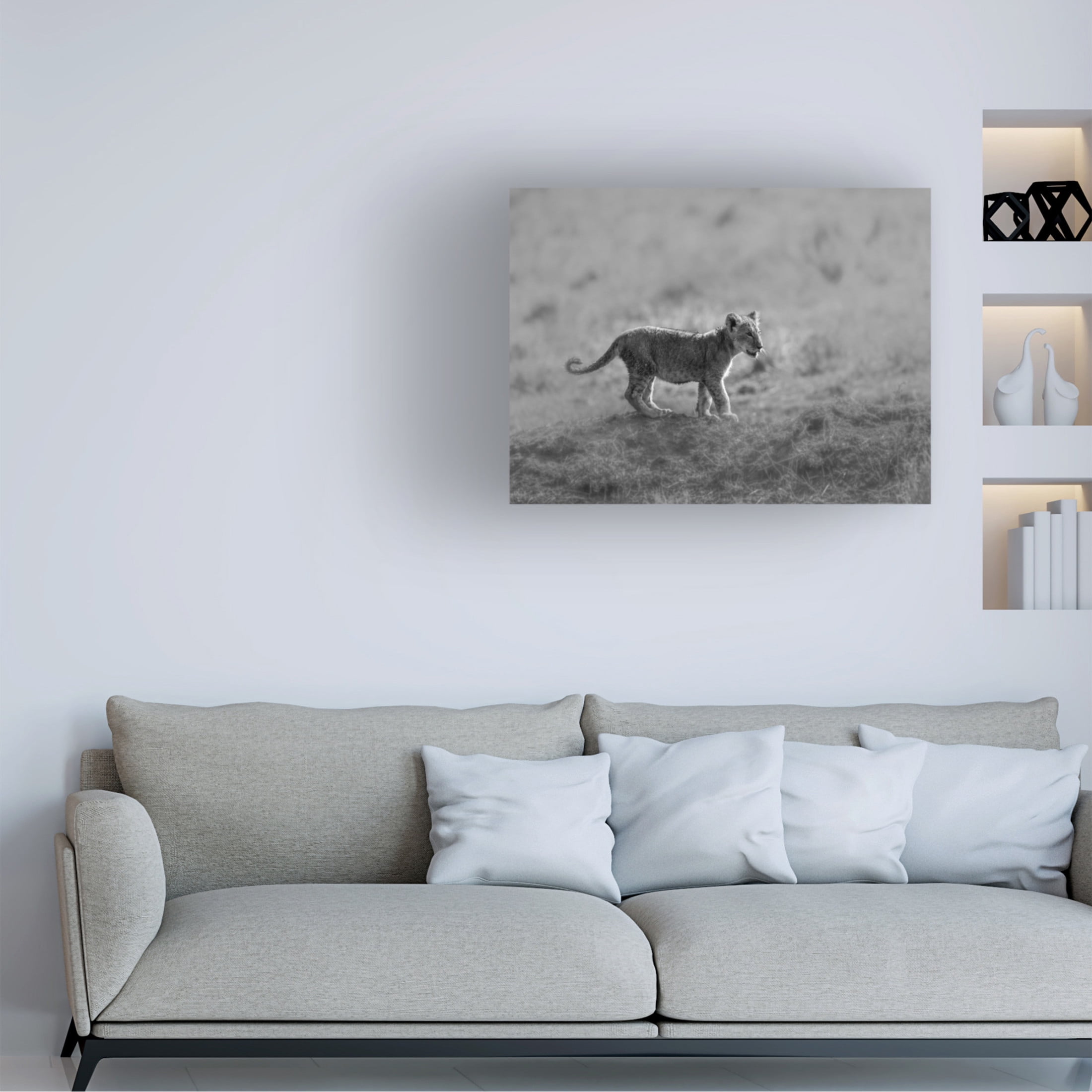 Trademark Fine Art Jaco Marx MORNING CAT Canvas Wall Art