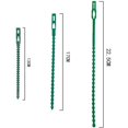 thumbnail image 4 of Lazos para Plantas Lazos de Jardinería Ajustables, 150 Piezas Lazos y Soportes para Plantas Versalles, Ayudan a Apoyar Plantas y Arbustos, Lazos de Plástico Flexibles (3 Tamaños), 4 of 5