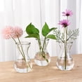 thumbnail image 4 of Juego de 4 jarrones pequeños de cristal para jacintos, centros de mesa, jarrones transparentes para cultivar jacintos en capullo., 4 of 7