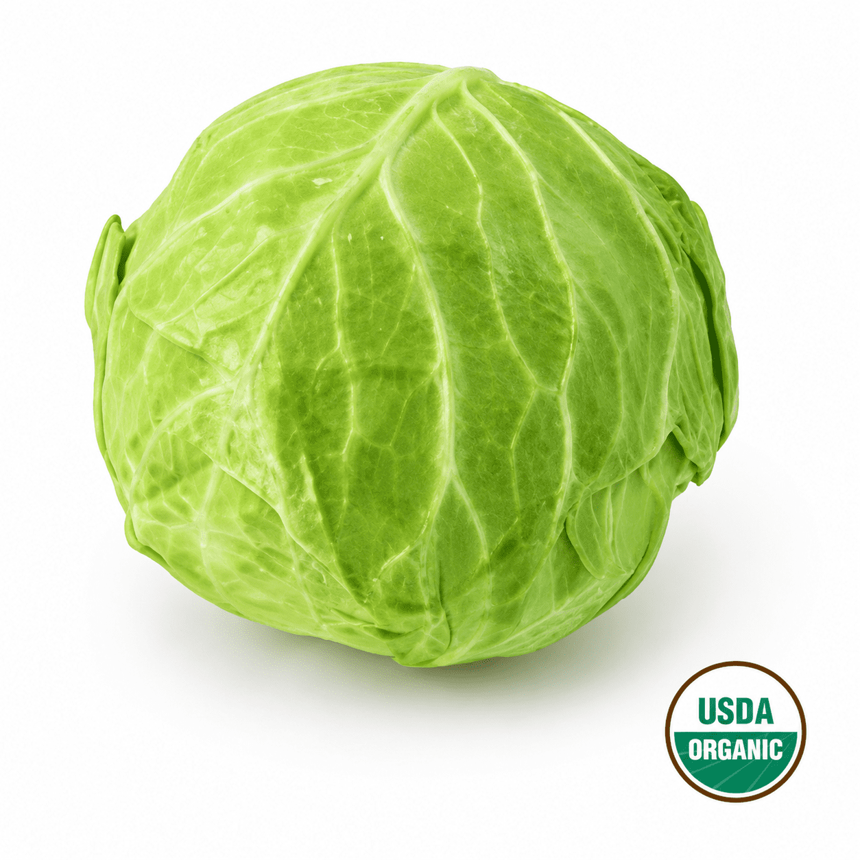 Fresh Organic Green Cabbage, Each