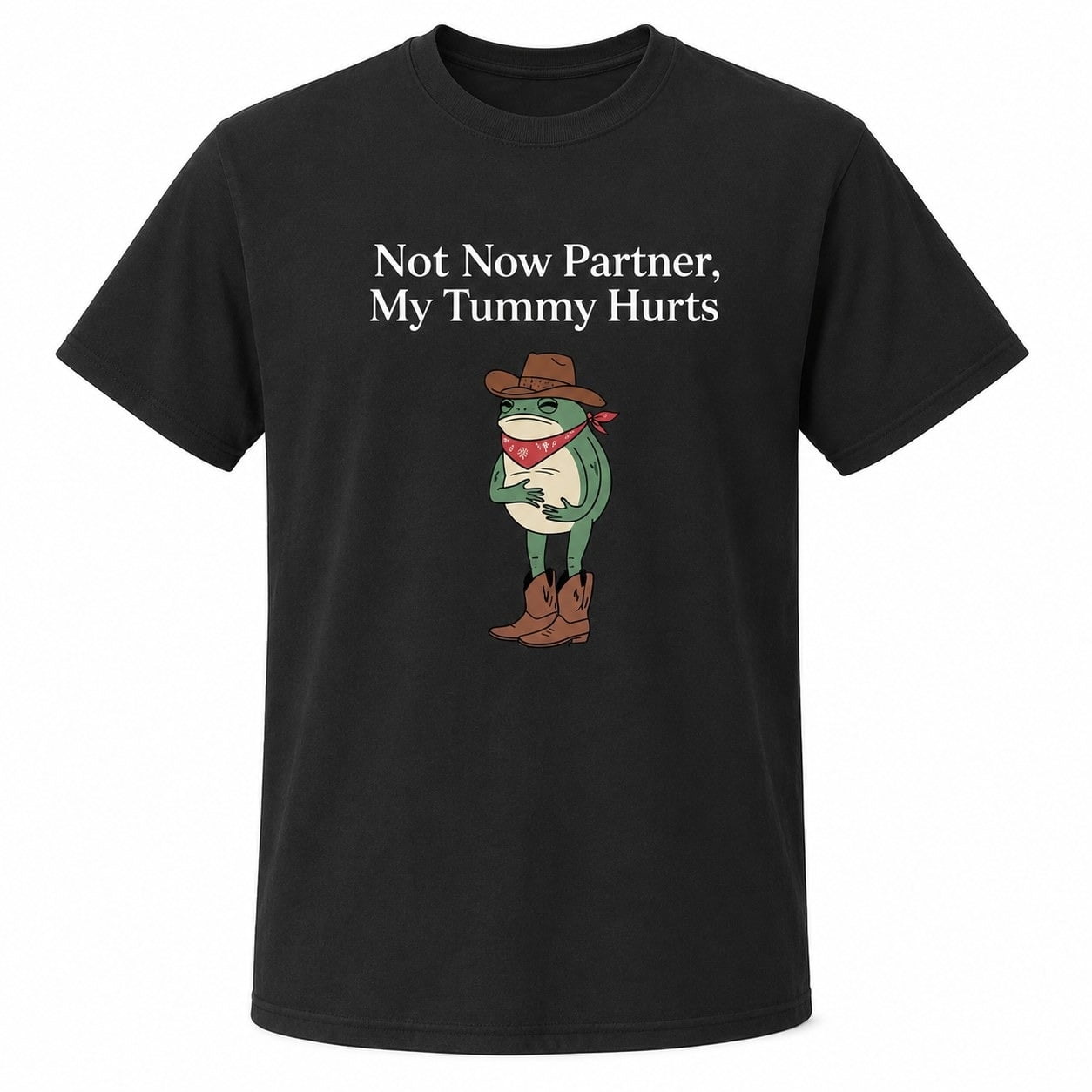 Not Now Partner My Tummy Hurts Graphic T-Shirt, Unisex Classic Fit Tee