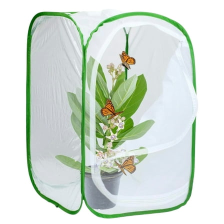 WLGJL Insect and Butterfly Habitat Cage Terrarium Pop-up 23.6 Inches Tall