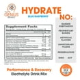 thumbnail image 6 of The Genius Brand - Genius Hydrate Stick Pack Powder Drink Mix – Blue Raspberry Flavor, Natural Electrolyte Booster with Coconut Water & Potassium for Ultimate Hydration - 20 Packets, 6 of 6