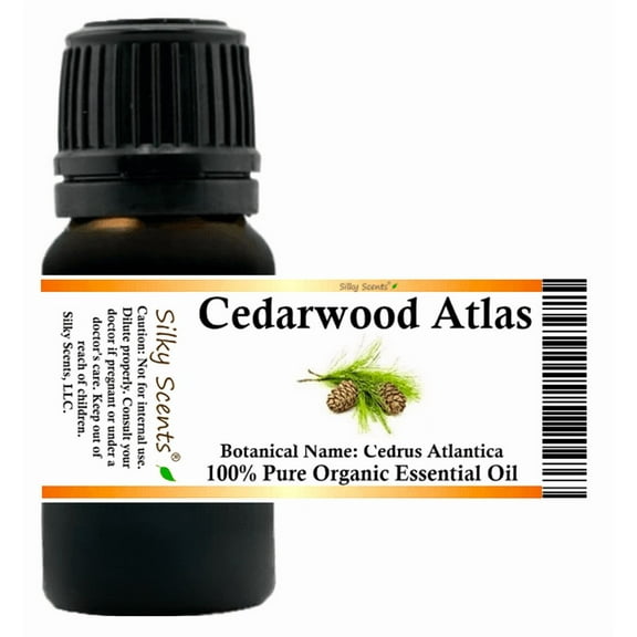 Cedarwood Atlas Organic Essential Oil 5 ml (1/6 fl oz) - 100% Pure and Natural by Silky Scents