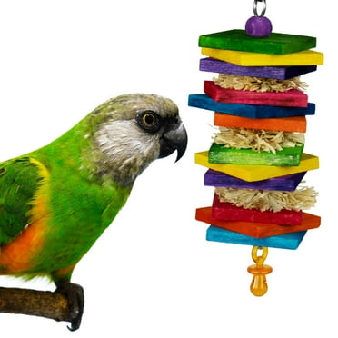Super Bird Creations SB1181 Haystack Bird Toy - Enrichment Toy for Medium Birds - Ideal for Parrots Ringnecks Medium Conures Quakers Caiques - Satisfies Chewing & Preening, Relieves Boredom, 8.5"x3"