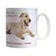 thumbnail image 1 of Boelter Brands Taza de cerámica Labrador amarillo de 11 onzas, 1 of 1