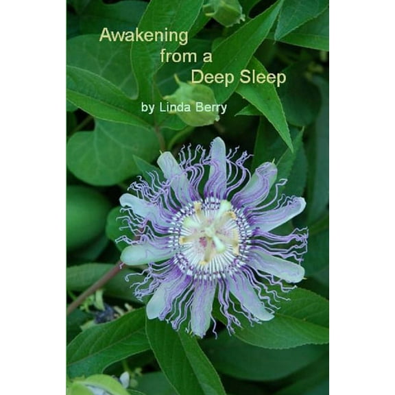 Awakening From A Deep Sleep, (Paperback)