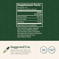 thumbnail image 2 of Suplemento Global Healing Glucosa oxidasa 60 ml, 2 of 7