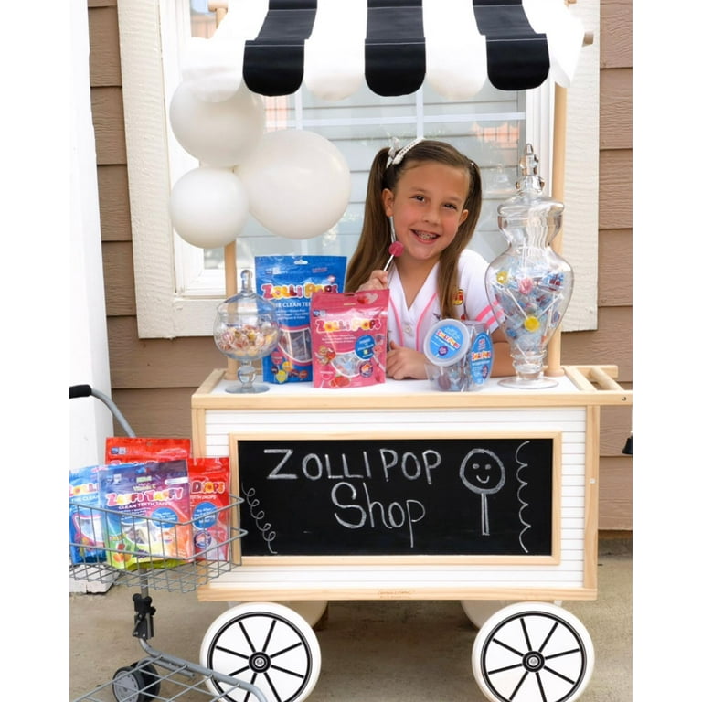 Zollipops Sugar Free Lollipops with Natural Fruit Flavors 5.2 oz