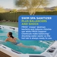 thumbnail image 5 of FROG @ease Replacement SmartChlor Cartridge 3 Pack and Balancing Starter Kit with 3 Pack of Maintain for use with Swim Spa FROG @ease Floating System, 5 of 8
