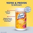 thumbnail image 4 of LYSOL® Disinfecting Wipes - Brand New Day™ Mango & Hibiscus 80 ct., 4 of 18