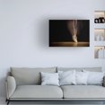 thumbnail image 3 of Canvas Wall Art - Howard Ashton-Jones 'Spin' Wall Art for Living Room, Bedroom, or Office Décor by Trademark Fine Art - 19 x 12 Inches, 3 of 4