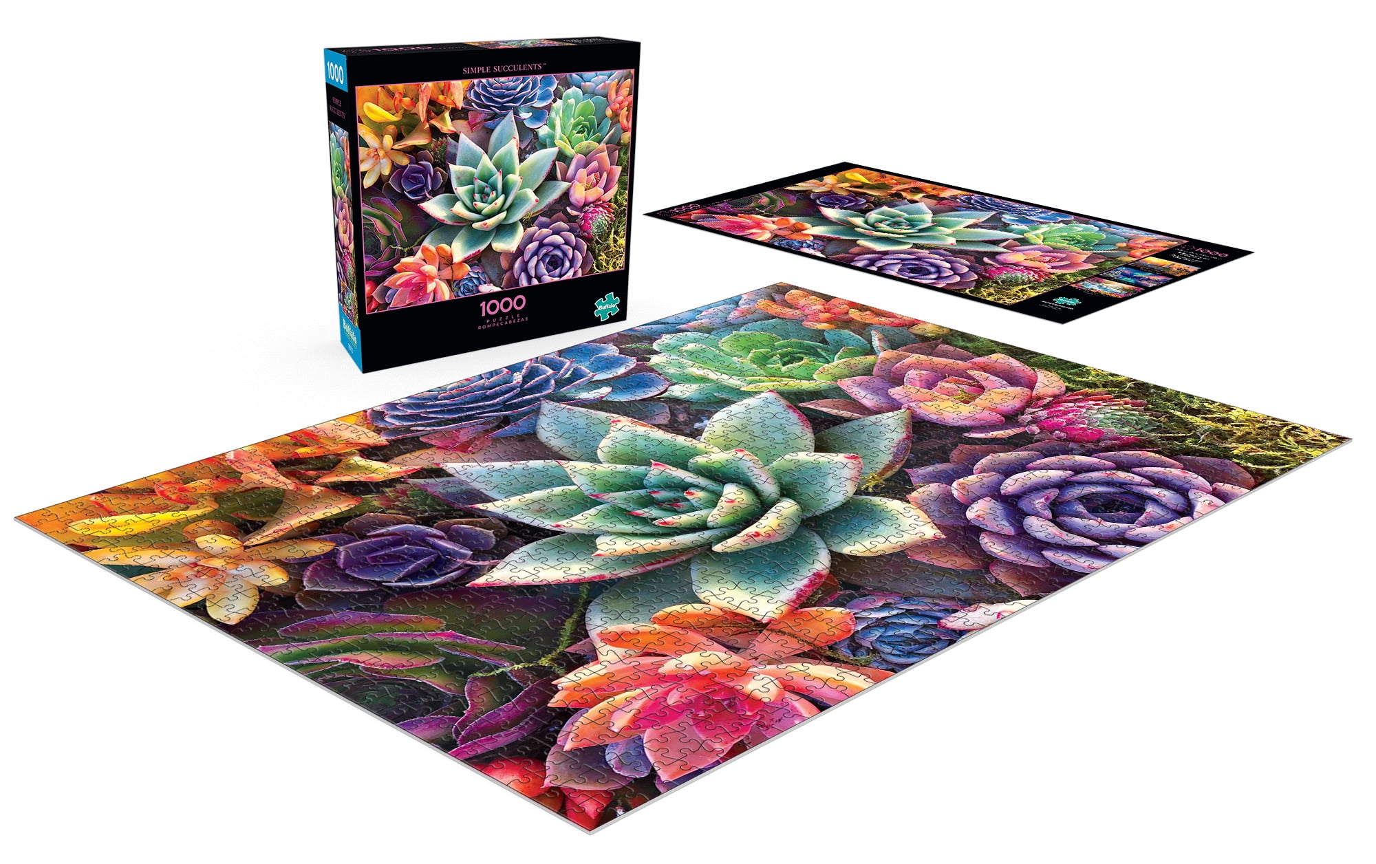 Buffalo Games - Photography - Simple Succulents - 1000 Piece Jigsaw Puzzle