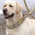 thumbnail image 5 of Gostoto Nylon Webbing Dog Collar, Aati-Strangle Traction Collar For Small Medium Large Dogs, 5 of 5