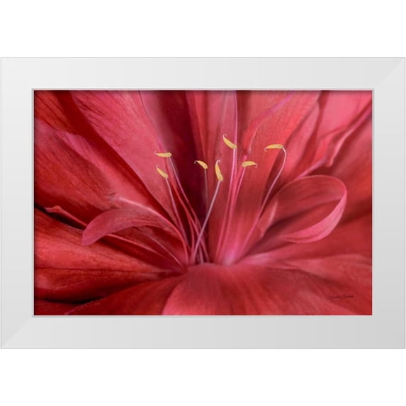 Murdock, Ramona 32x23 White Modern Wood Framed Museum Art Print Titled - Peonia Insight I