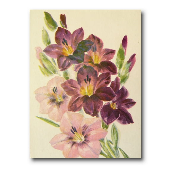 Retro Dark and Light Pink Gladiolus 8 in x 12 in Painting Canvas Art Print, by Designart