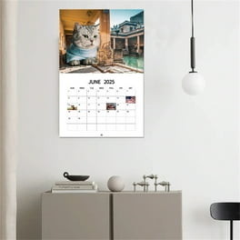 Grumpy Cat 2020 Wall Calendar: (funny Gag Gift Yearly