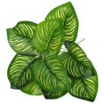thumbnail image 1 of Bangcool Artificial Leaves Stems Realistic Fake Plant Faux Leaf Branch for Home Decor, 1 of 6