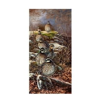 Trademark Fine Art Carolyn Mock Quail Trail Canvas Wall Art - 16x32