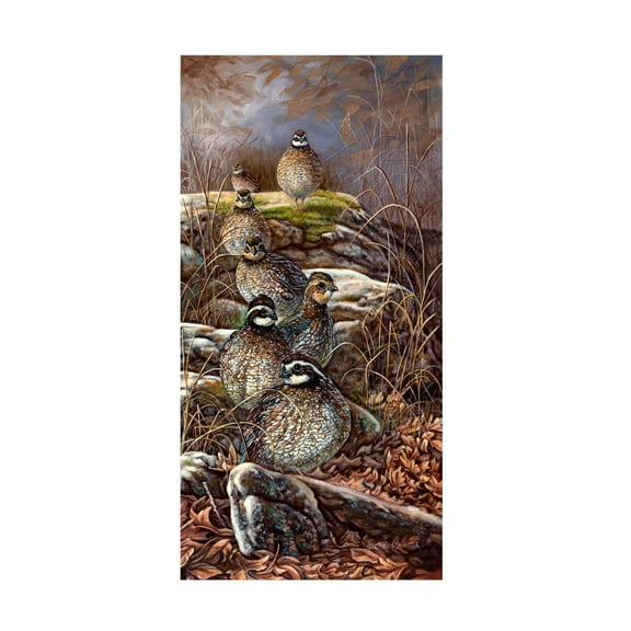 Trademark Fine Art Carolyn Mock Quail Trail Canvas Wall Art - 16x32
