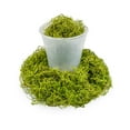 thumbnail image 5 of ⭐ BEST POTTING MIXES - Spanish Moss in Spring Green| Natural Preserved - Great Ground Cover - Filler for Potted Plants - by Gardenera - 20 Quart Bag, 5 of 5