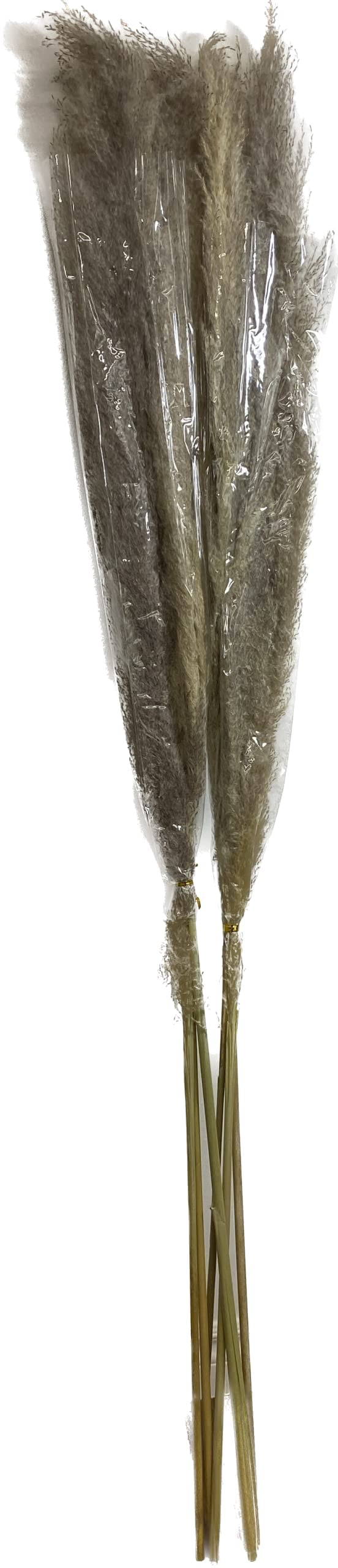 CalCastle Craft 3 Stems 48" Dried Natural Pampas Reed Dried Flowers Wedding Home Decor (Reed Natural Gray Jumbo)