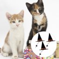 thumbnail image 3 of Miangastore 3pcs Funny Pet Halloween Hats Headpiece Pointed Hat (4.5CM Inner Diameter), 3 of 8