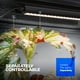 thumbnail image 4 of Grow Lights Barrina, luz solar de espectro completo, 1 pie, 20 W, paquete de 4 unidades, 4 of 9